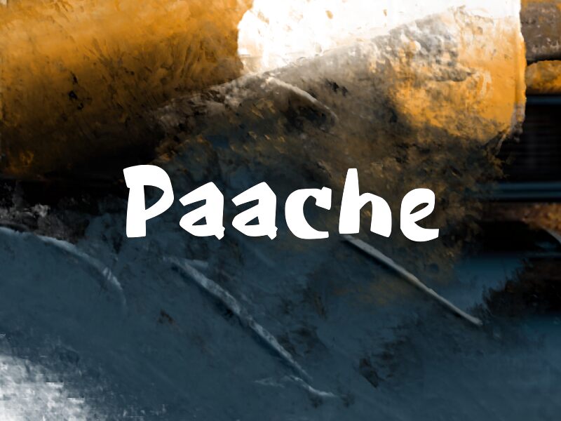Paache Police