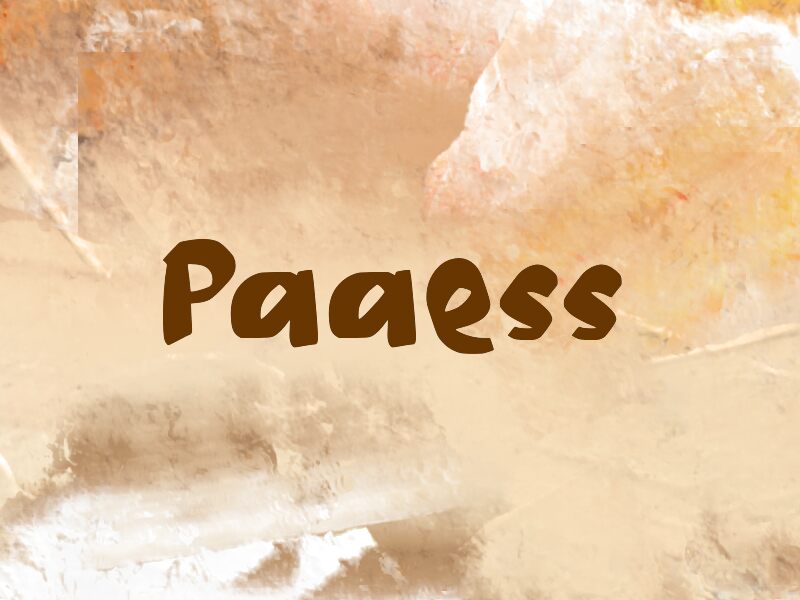 Paaess 字体