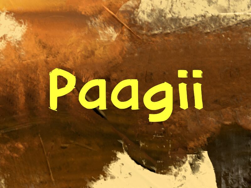 Paagii 字体