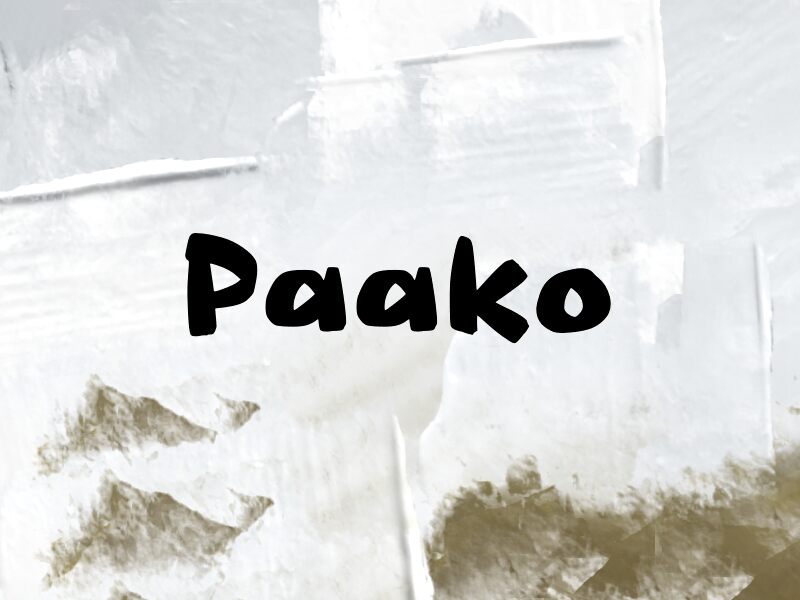 Paako 字体