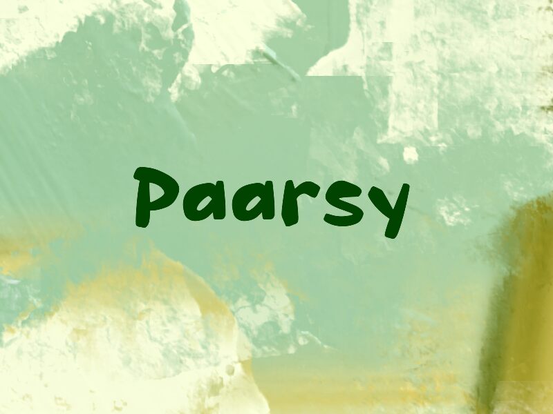 Paarsy 字体