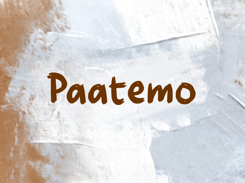 Paatemo 字体