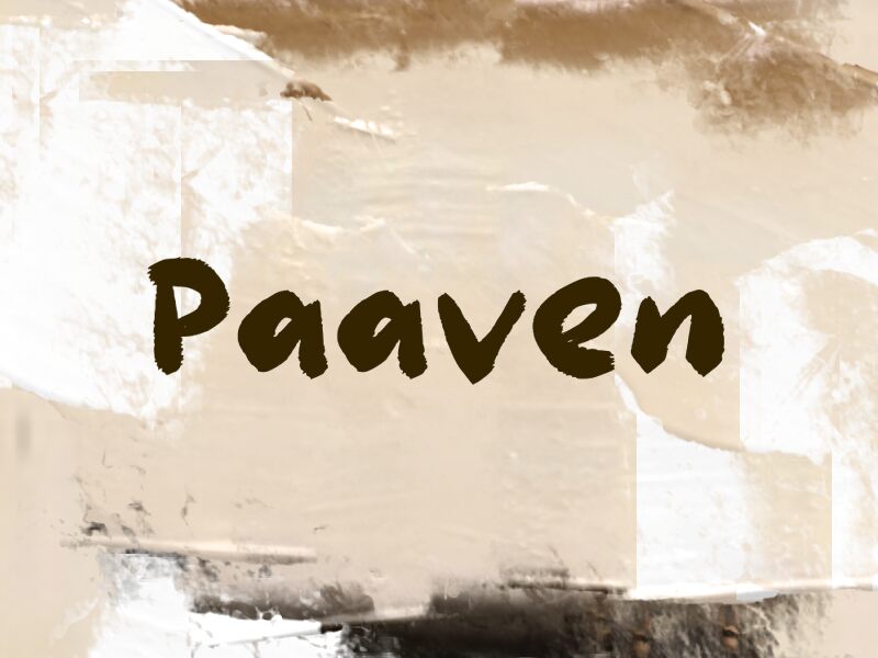 Paaven Police