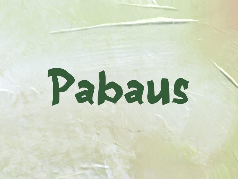 Pabaus 字体