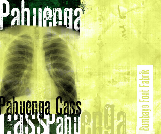 Pahuenga Cass Schriftart