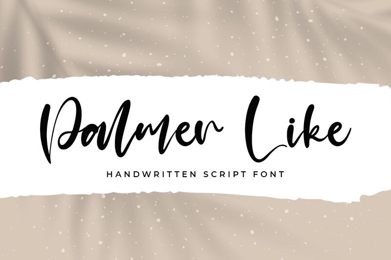 Palmer Like Carattere