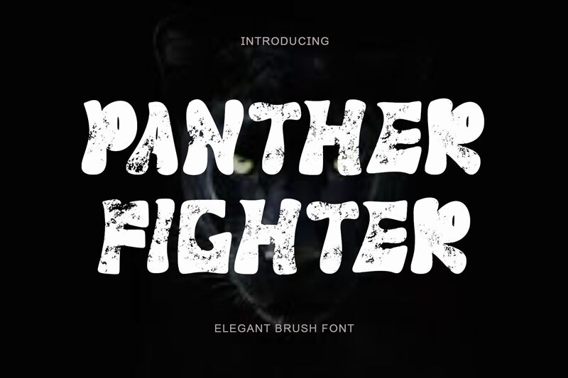 Panther Fighter Czcionka