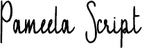 Pameela Script Demo