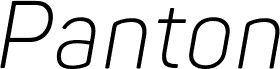 Panton Narrow-Trial Light Italic