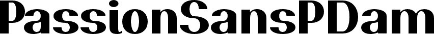 PassionSansPDam-Heavy