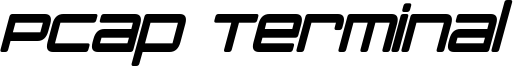 PCap Terminal Condensed Bold Italic