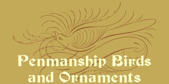 Penmanship Birds and Ornaments Free الخط