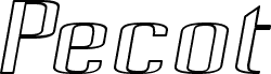 Pecot Outline Oblique