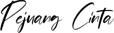 Pejuang Cinta