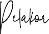 Pelakor Demo