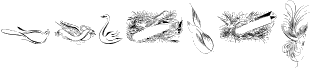 Penmanship Birds Free