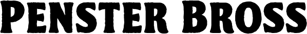 PensterBrossRoughDemo