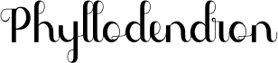 Phyllodendron Demo