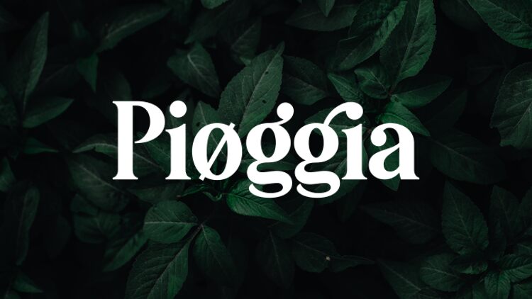 Pioggia Schriftart