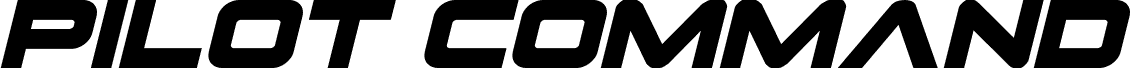 Preview of the Pilot Command Italic font