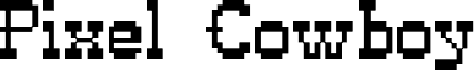 PixelCowboy
