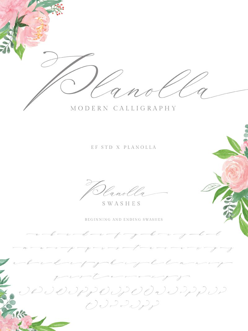 Planolla Czcionka