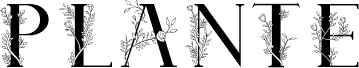 Plante