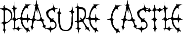 PleasureCastleStandard