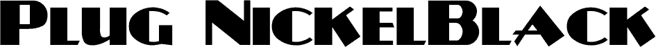 Plug-NickelBlack