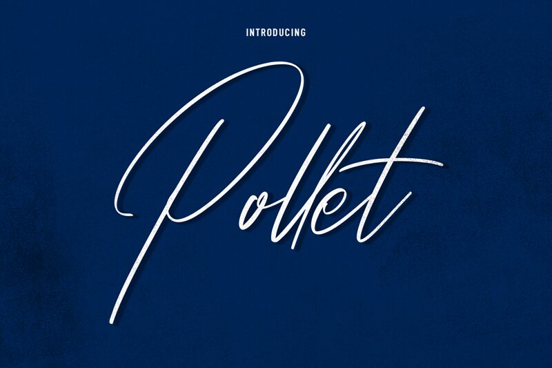Pollet الخط 
