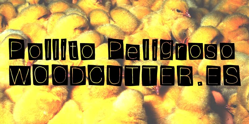 Pollito Peligroso Carattere