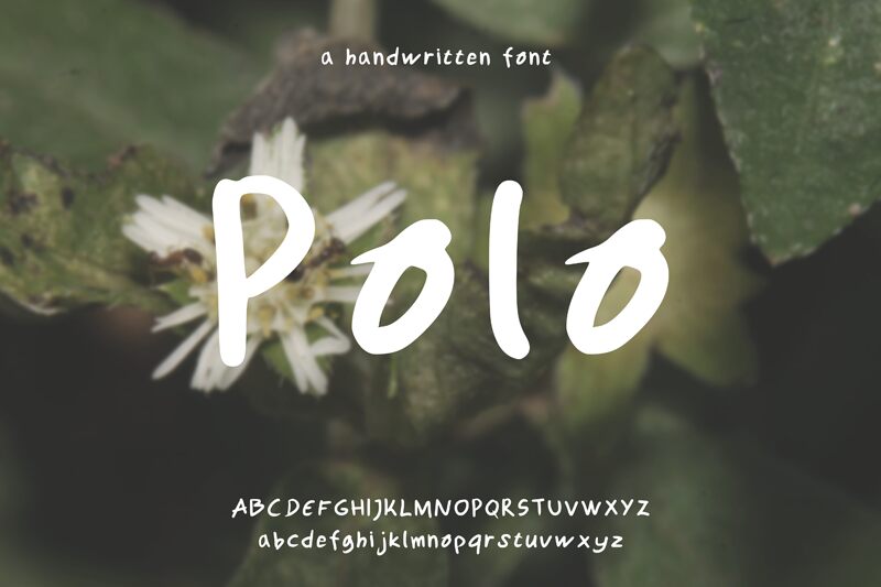 Polo Druh písma