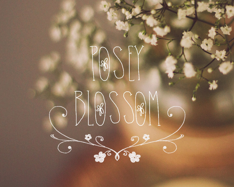 PoseyBlossom Font