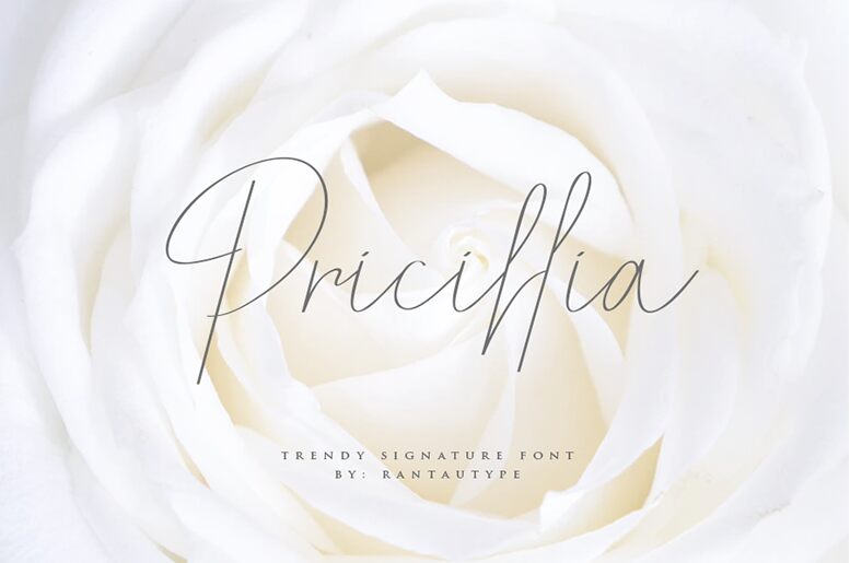 Pricillia Fuente