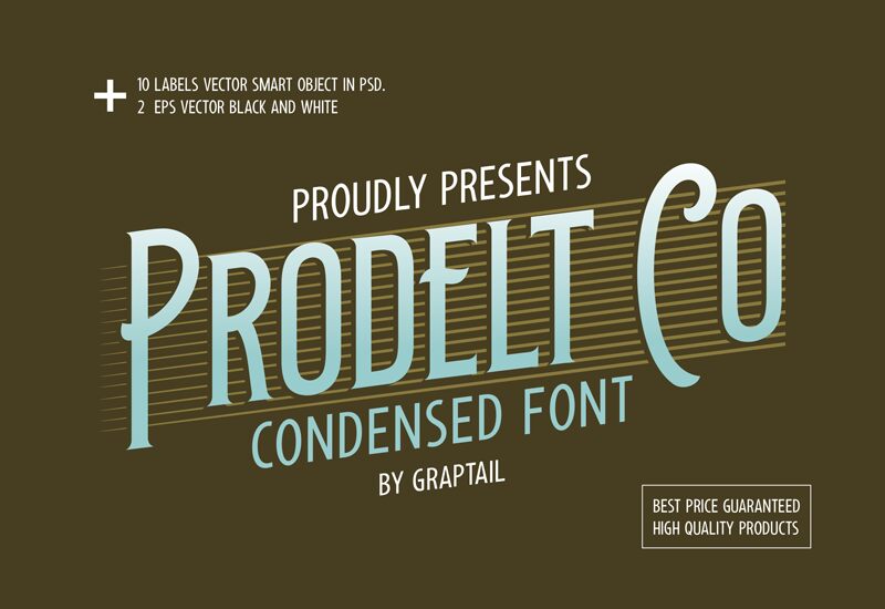 Prodelt Co Police