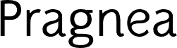 Pragnea Demo Regular