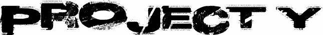 Project Y