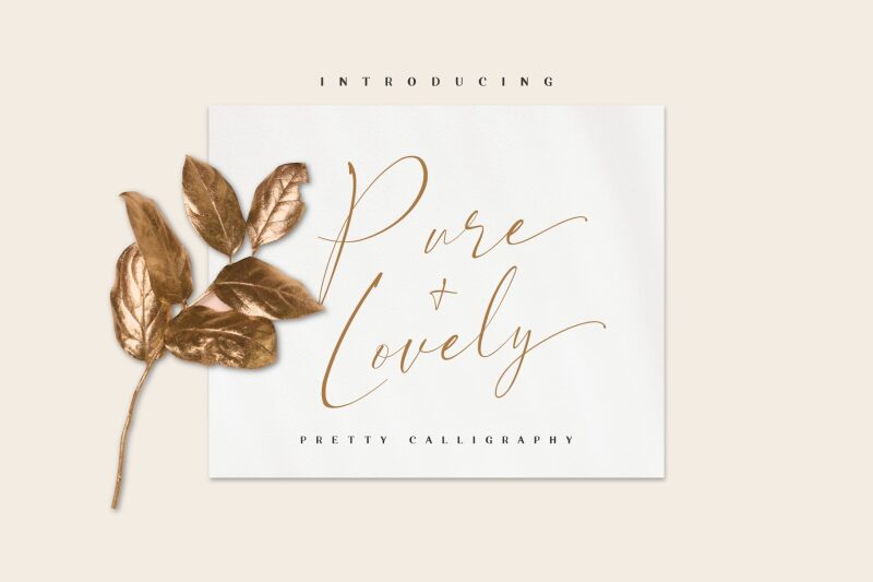 Pure+Lovely 字体