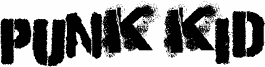 Punk Kid