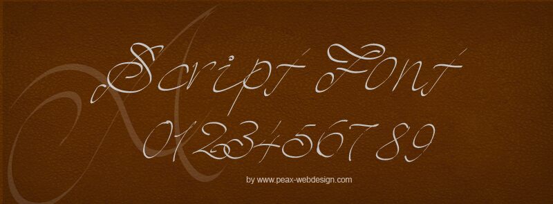 PWScript Carattere