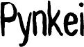 Pynkei_DIN