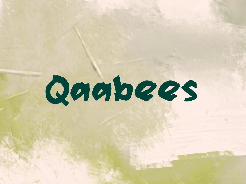 Qaabees Police