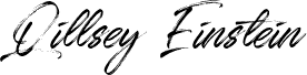 Qillsey Einstein