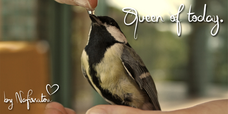 Queen of today Carattere