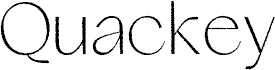 Quackey Rough Regular Demo