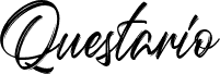 Questario-Brush