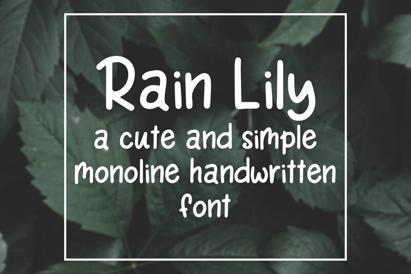 Rain Lily 字体