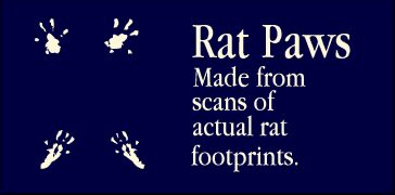 Rat Paws Schriftart