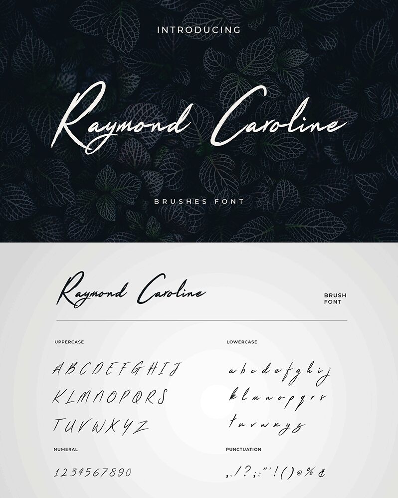 Raymond Caroline Czcionka