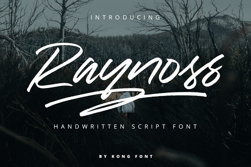 Raynoss Schriftart